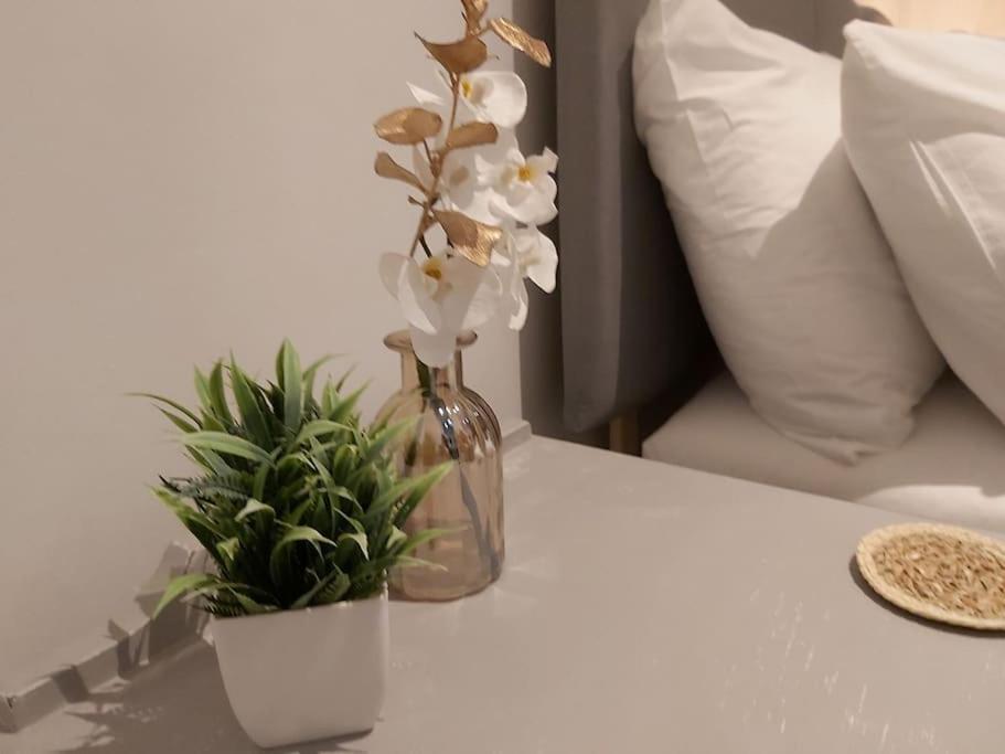 Apartament Tranquil Boho Bliss Portsmouth Zewnętrze zdjęcie